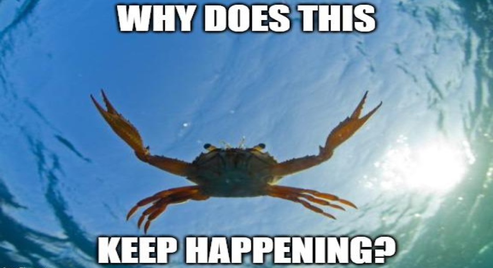 Site hosted by Neocities